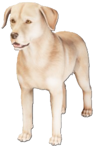 A yellow Labrador from Enshrouded. This shows readers what Ruffles the Dog looks like