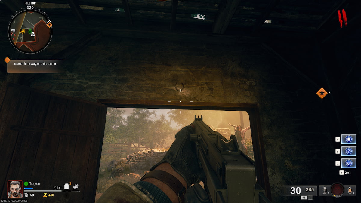 Horseshoe in Black Ops 6