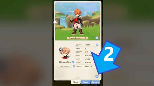 Go Go Muffin Settings button