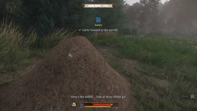 Anthill location