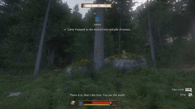 Marked tree location