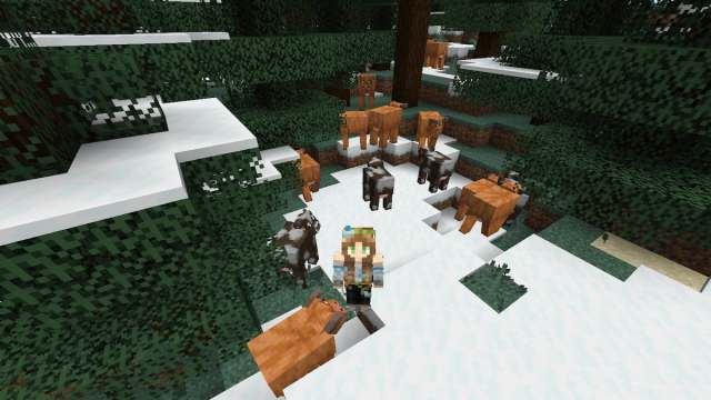 A player standing on some snow in a taiga with cold cows and classic cows wandering around them in Minecraft.