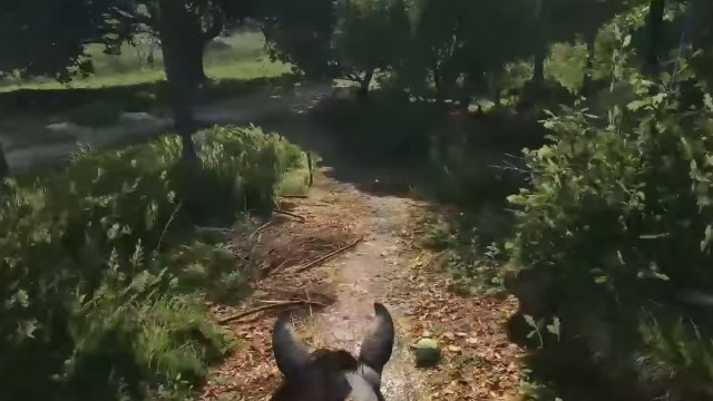 riding horse following cabbage path through forest in kingdom come deliverance 2