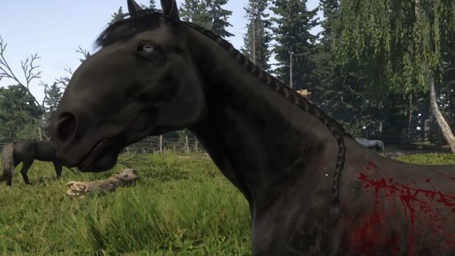 Kingdom Come deliverance 2 black horse erdel with some blood splattered on it close up