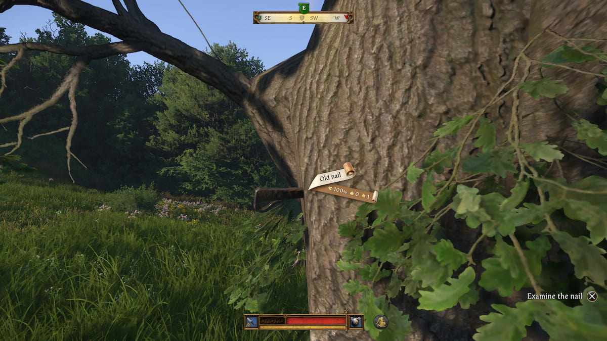 nail pinned to an oak tree