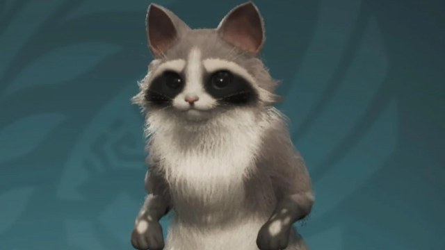 Image showing the simple raccoon design in Monster Hunter Wilds.