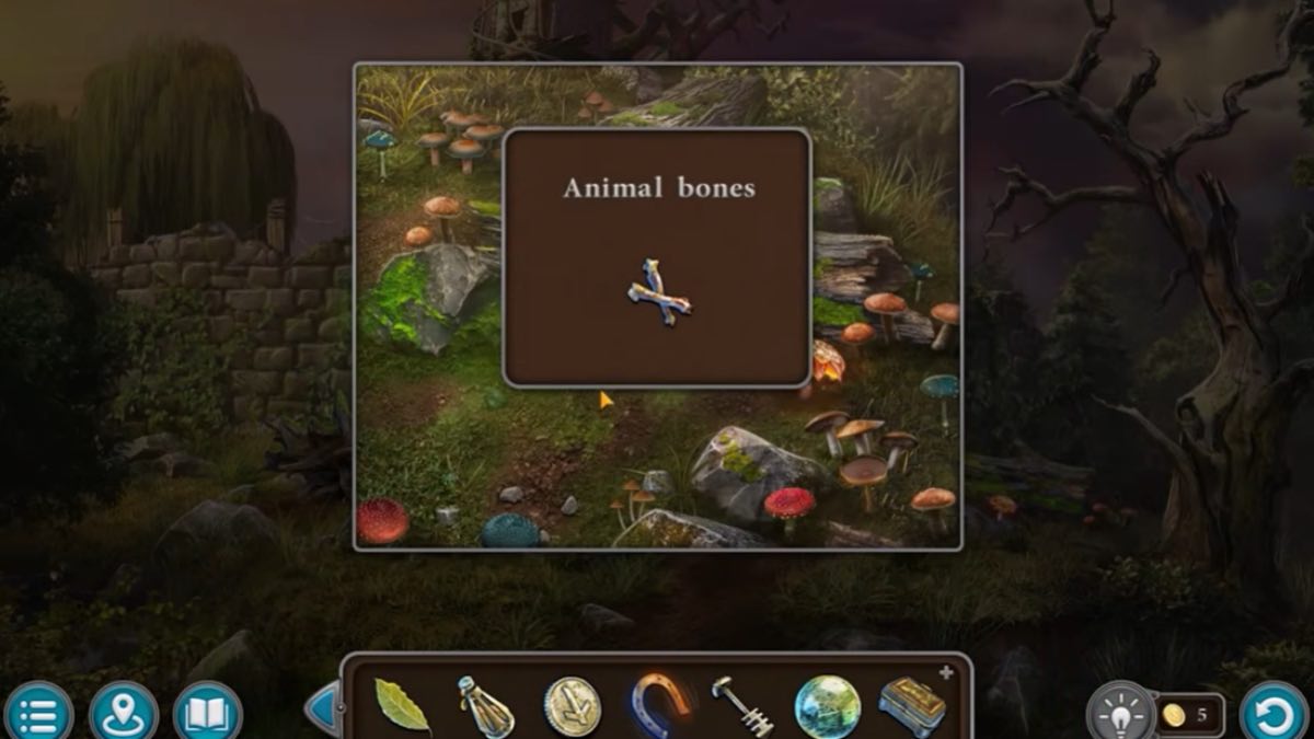 animal bones in the debris