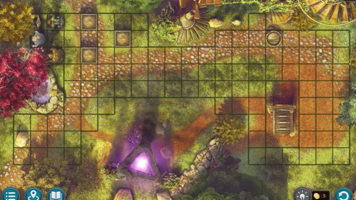 chicken puzzle solution