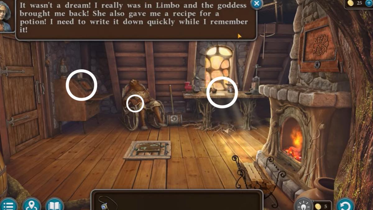 circled items in a room with a beaver