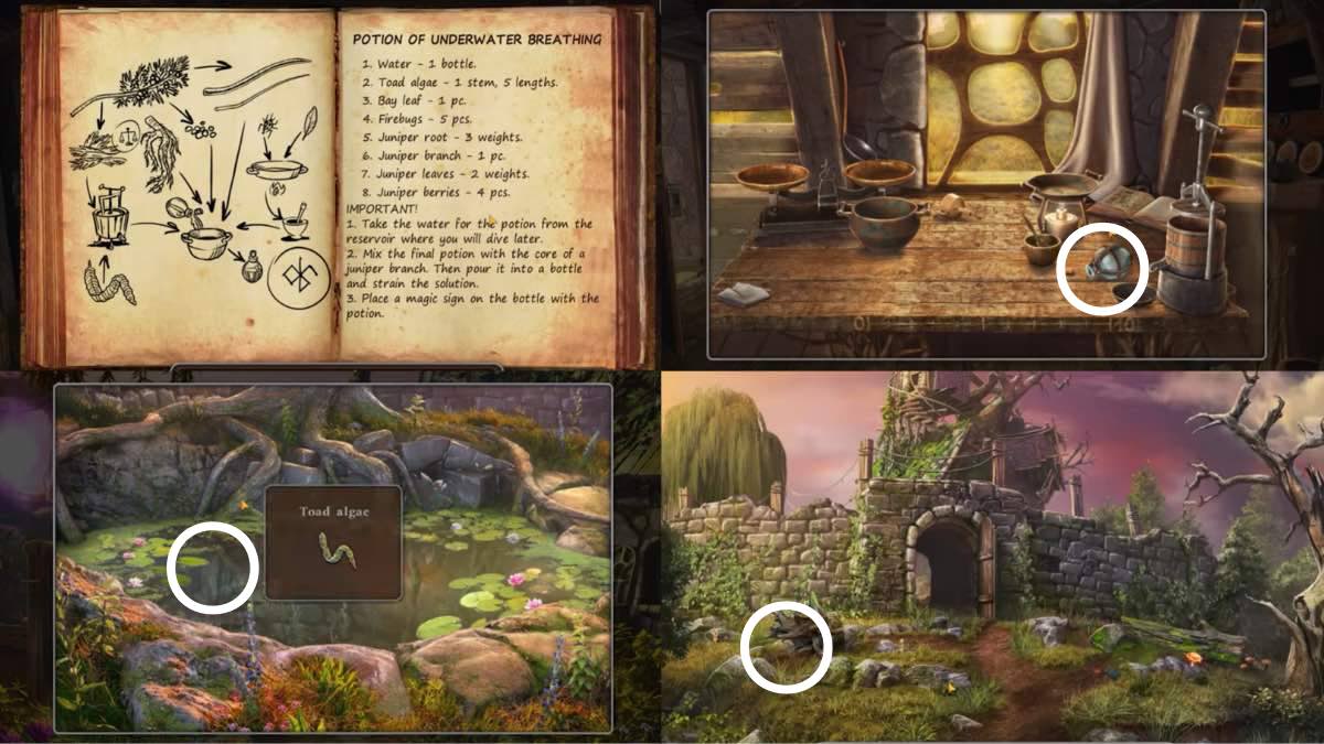 finding potion ingredients