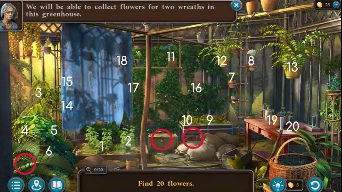 hidden flower puzzle