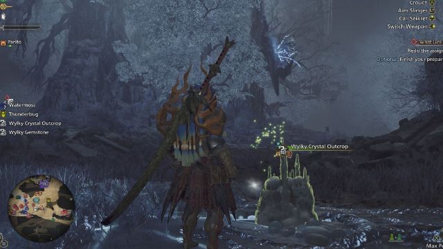 Monster Hunter Wilds player standing in front of wylky crystal outcrop