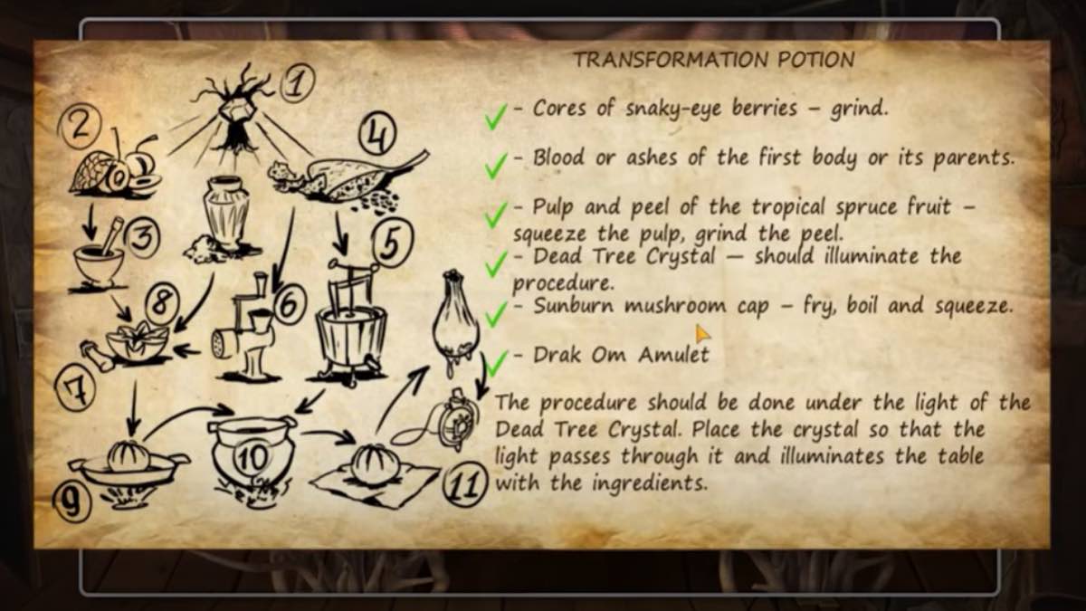 recipe for transformation potion