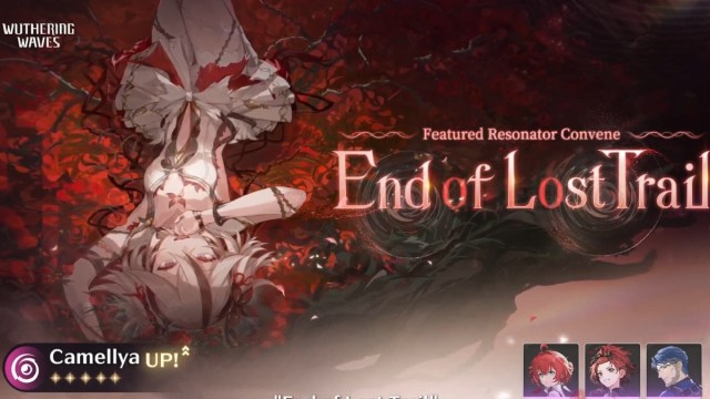 Wuthering Waves camellya lying in red flower petals upside down banner