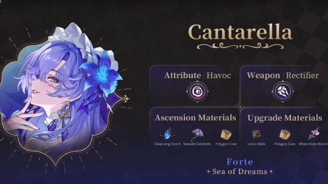 Wuthering Waves cantarella profile and materials
