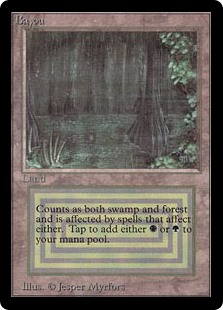 Photo of Bayou