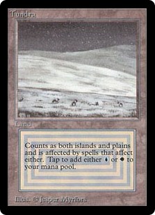 Photo of Tundra