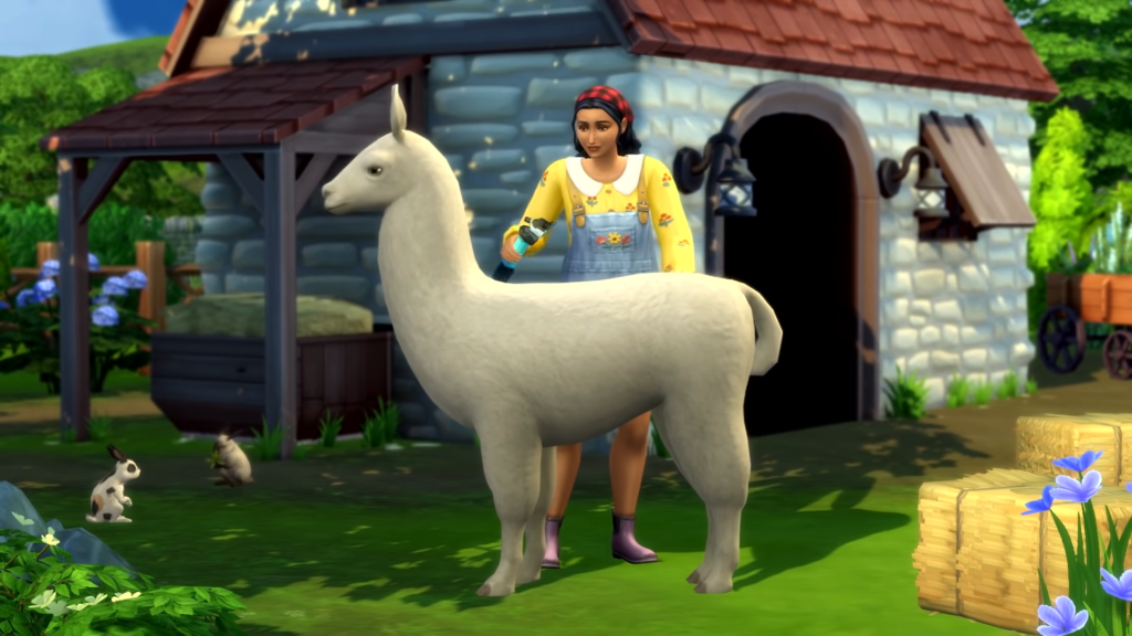 A sim shearing a Llama.