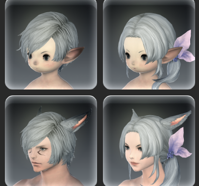 Screenshot showing the same hairstyle on four different races from FFXIV.