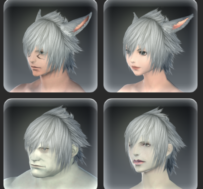 Screenshot showing the same hairstyle on four different races from FFXIV.